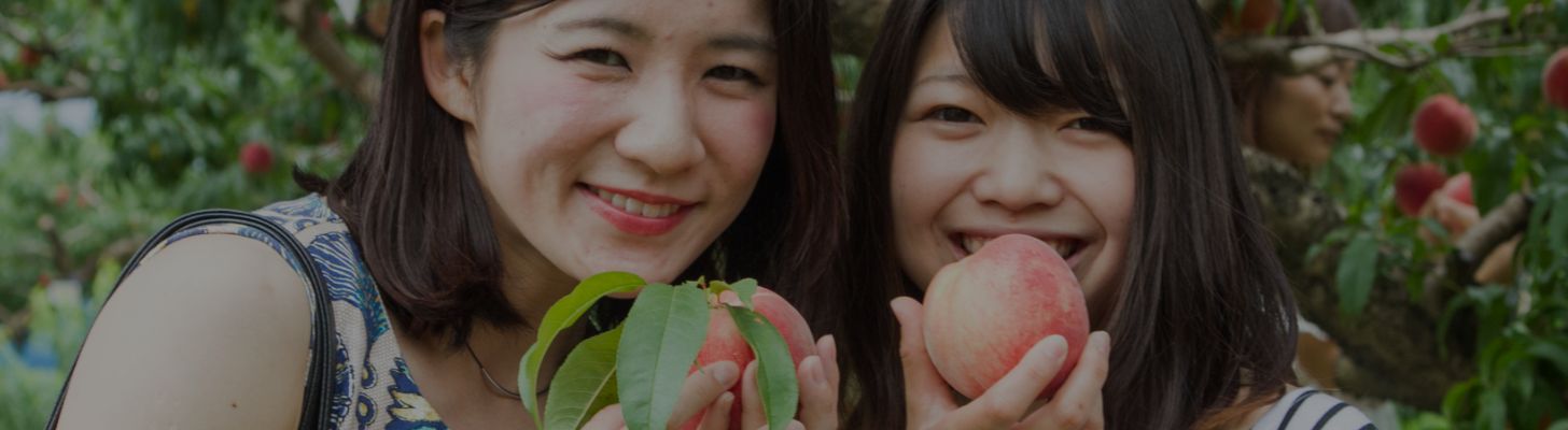 【終了】2024年桃狩り メインイメージ