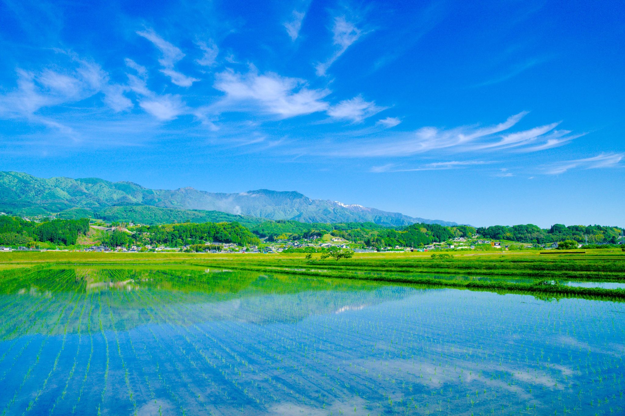 とよおか旅時間について とよおか旅時間