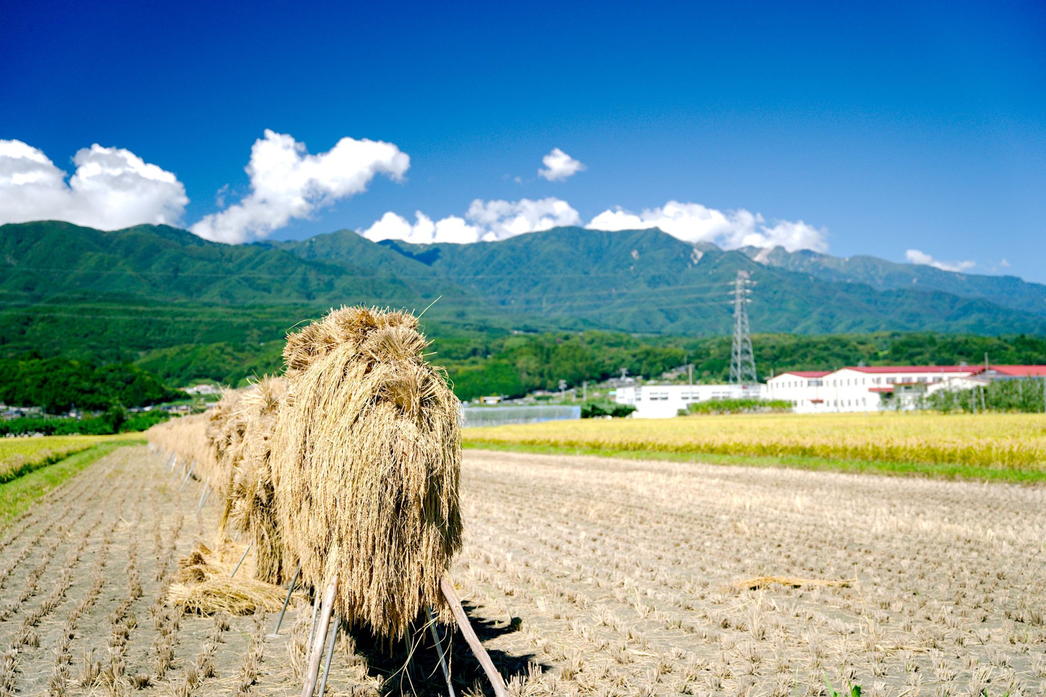 とよおか旅時間について とよおか旅時間