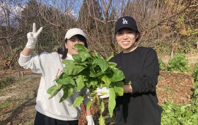 野菜収穫体験（休止中）イメージ